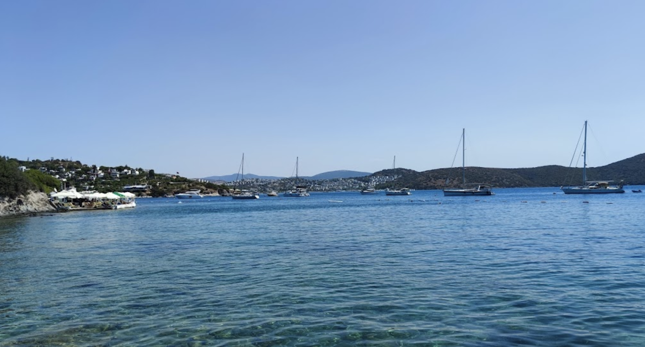 Gallery Thumbnail 11